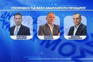 ΔΗΣΥ Αναπληρωτές Προέδροι