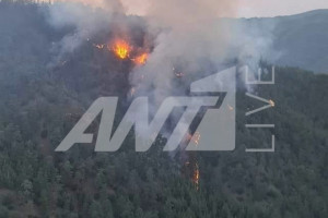 κρατικό δάσος Πάφου