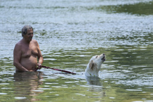 κόσμος καύσωνας