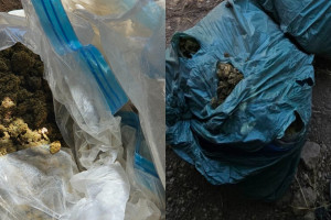 ναρκωτικά Πάφος