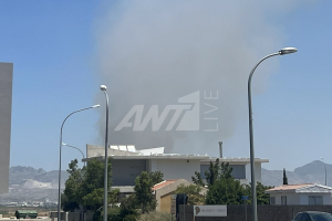 θανατηφόρο 60χρονη Λάρνακα