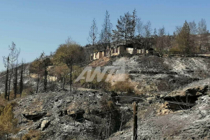 Απεσιά