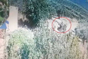 ντοκουμέντο εμπρησμός κρήτη