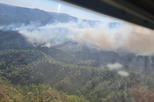 πυρκαγιά Άγιος Μάμας