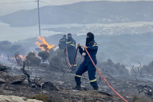 πυρκαγιά Άνδρος