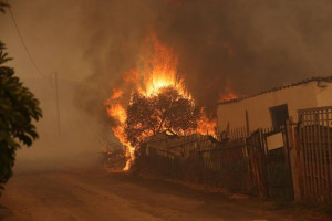 φωτια μενιδι 10