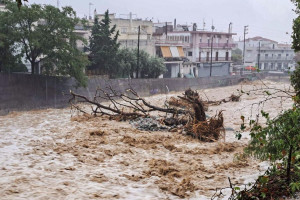 κακοκαρία Daniel.