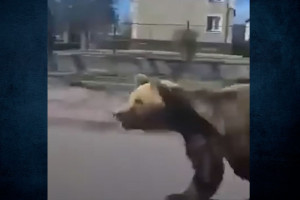 υτξ