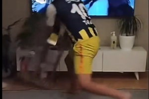 σ