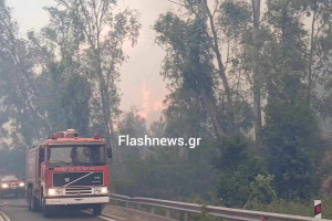 φωτια κρητη