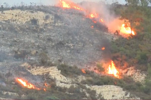 πυρκαγια τριμικλινη