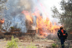 φωτια ελλαδα 6