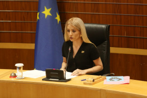 Αννιτα Δημητριου