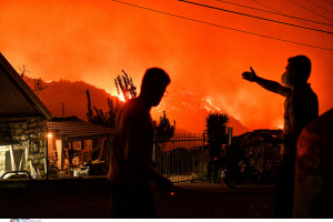 ξυλοκαστρο φωτια 3
