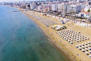 φοινικουδες