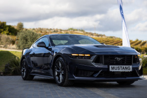 mustang 