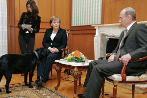 γεα
