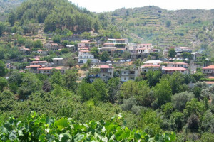 πλατανιστάσα 