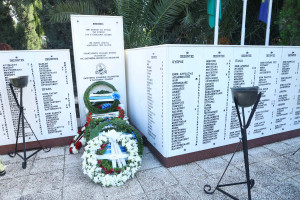 κύπριοι πεσόντες 