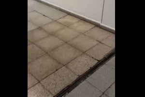 ξυφρ