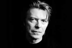 david