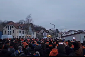 apoel