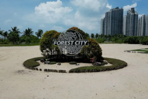 forest city 4