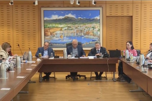 κοινοβουλευτικη επιτροπη