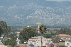 λευκονοικο