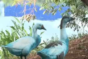 4567