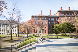 harvard