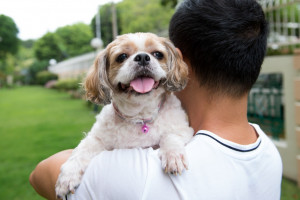 σκυλος