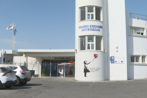 ειδικο