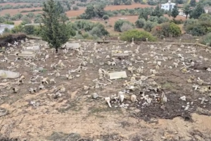 κοιμη