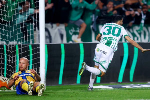 νικολασ γκολ