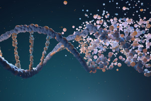 dna
