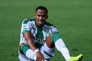 μαγιαμπελα τρα