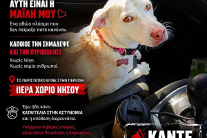 ρεδ
