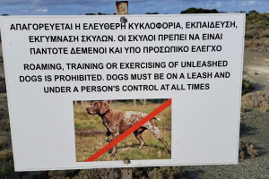 φεδσ
