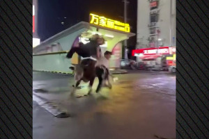 ιλ