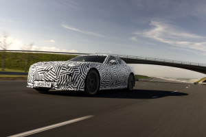 fgdd