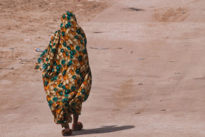 φδσδ