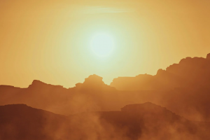 ξ