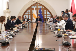 εθνικό συμβούλιο