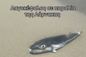 θ