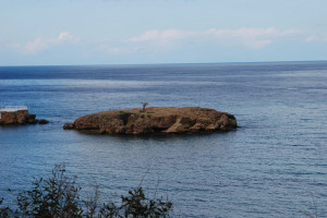 κθυ