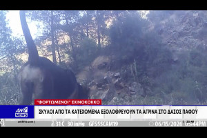 γωργωβ