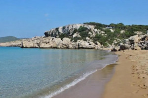 εεε