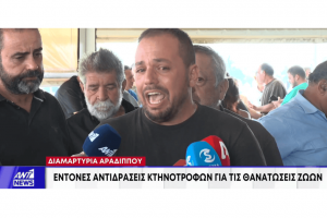 ργβ