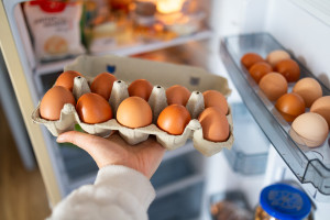 eggs